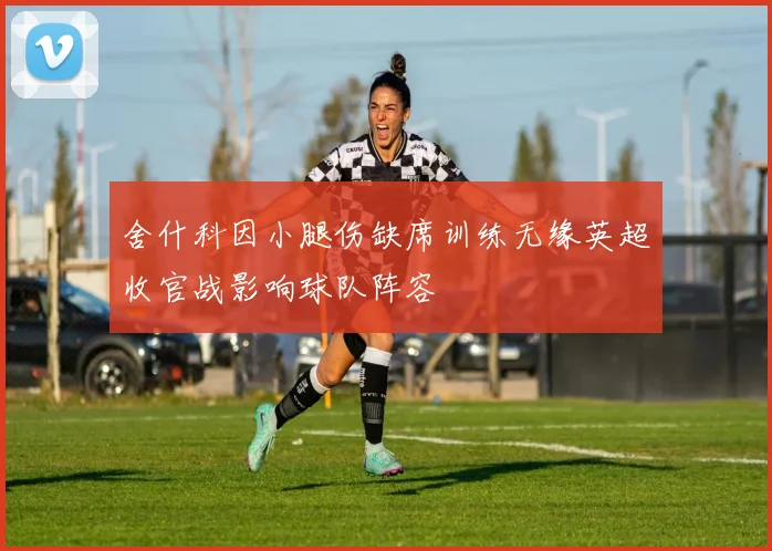 舍什科因小腿伤缺席训练无缘英超收官战影响球队阵容